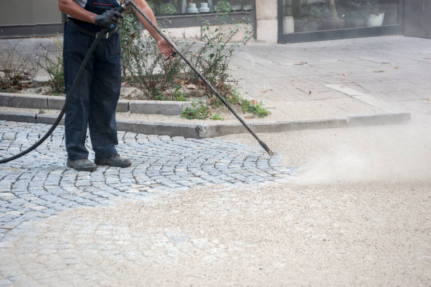 Best Sidewalk and Walkway Cleaning  in Gallup, NM